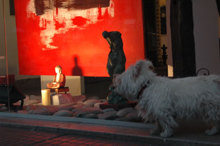 A fancy dog hangs out in front of a new-age window display in the San Telmo neighborhood