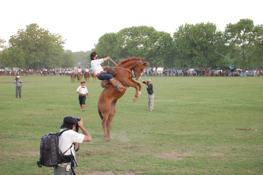 A gaucho rides an angry horse in San ANtonio de Areco, Argentina 