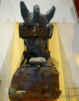 A display of a costume-made horse gasmask from the Argentina Arms Museum