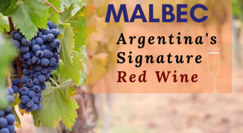 Malbec: Argentina’s Signature Red Wine