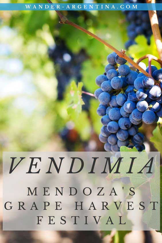Vendimia: Mendoza Argentina's Grape Harvest Festival