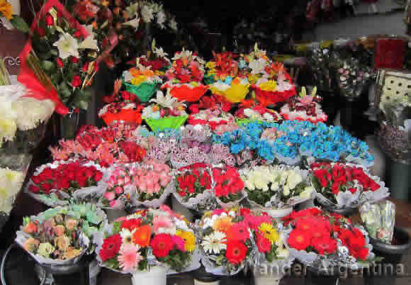 Bunches of colorful flowers at the huge Almagro flower market