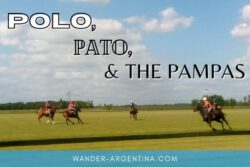 Polo, Pato, & the Pampas