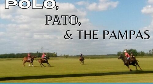 Polo & the Pampas: The ‘Sport of Kings’ in Argentina