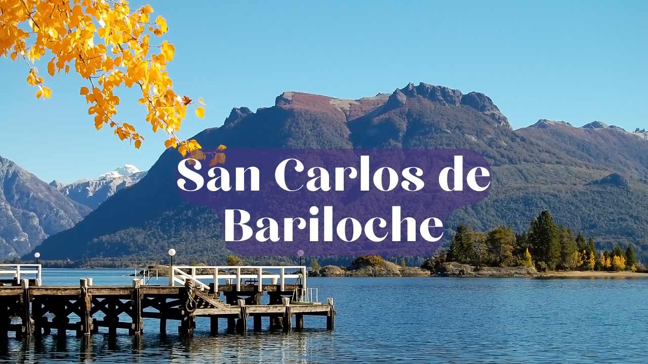 Scenery in San Carlos de Bariloche: flowers with mountains in distance