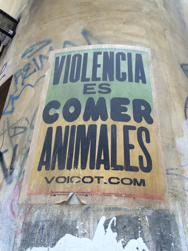 Pro-vegetarianism flyer in Buenos Aires with slogan: 'Violence is Eating Animals'