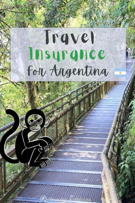 Bridge in Iguazu with monkey (Travel insurance for Argentina. )