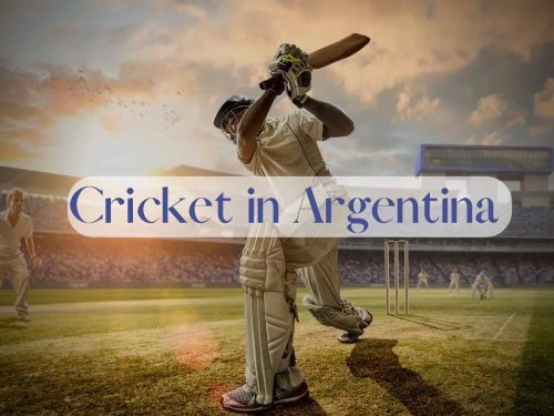 Cricket in Argentina -- picture of a player in a field