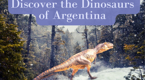 Discover the Dinosaurs of Argentina at Buenos Aires’ Natural Science Museum