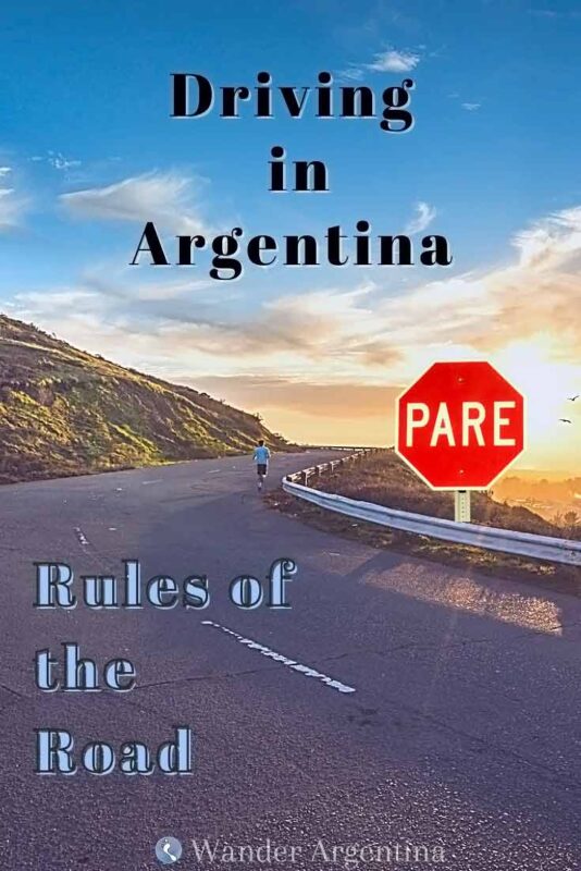 Driving in Argentina (picture of Patagonia highway) 