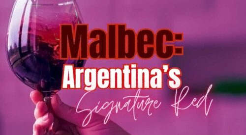 Malbec: Argentina’s Signature Red Wine