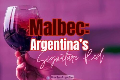 Malbec: Argentian's Signature red wine