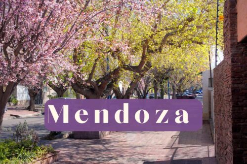 A tree-lined street in Mendoza capital