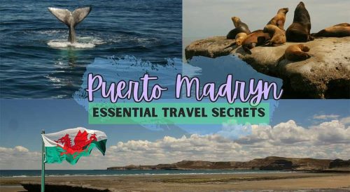 Puerto Madryn Travel Secrets: Patagonia’s Best Hub for Marine life