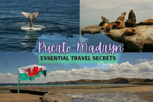 Whales, sea lions, beach, with text: 'Puerto Madryn: Essential Travel Secrets'