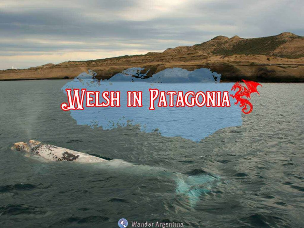 Welsh in Patagonia (landscape)