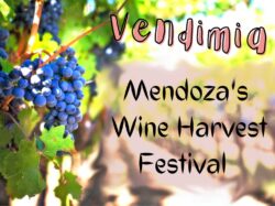 Vendimia: Mendoza's Wine Harvest Festival