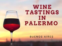 Wine Tasting in Palermo (Buenos Aires)