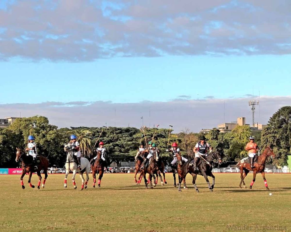 Women playing a professional game of polo 