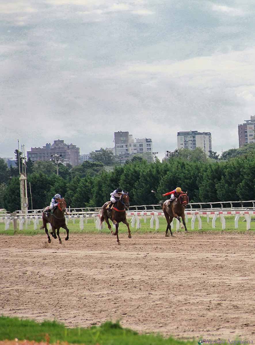 Horses and jockeys racing at the Palermo Hippodrome