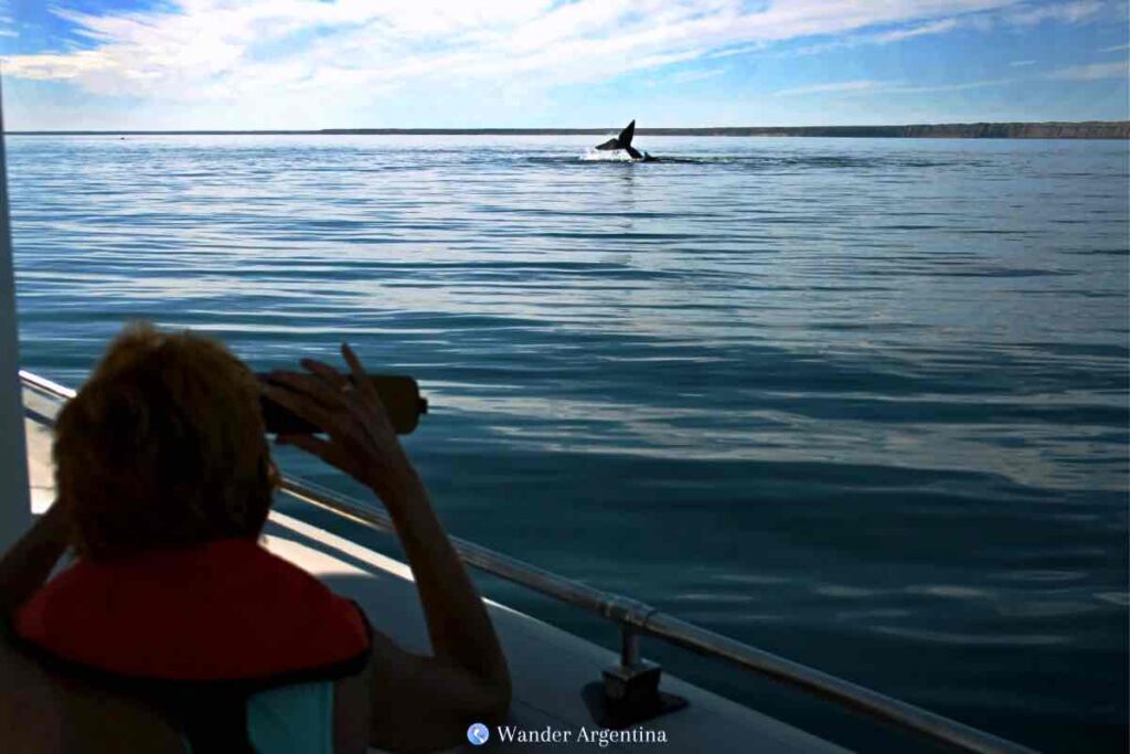 A whale-watcher views a whale with binoculares